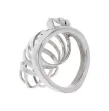 HIDDEN DESIRE - EXTREME CHASTITY COCK CAGE METAL HIDDEN DESIRE - EXTREME CHASTITY COCK CAGE METAL