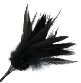 DARKNESS - SCHWARZE FEDERPEITSCHE