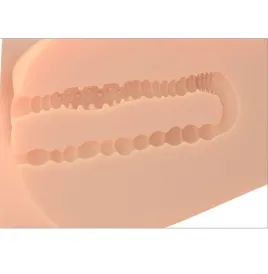 PDX PLUS - REALISTISCHER WEIBLICHER EZ BANG MASTURBATORTORSO