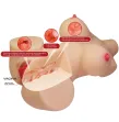 CRAZY BULL - EMMA TORSO FEMMINILE REALISTICO VAGINA E ANALE 4,8 KG
