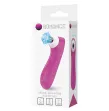 ROMANCE - DISPOSITIVO DI ASPIRAZIONE CLITORIDEA CON TECNOLOGIA A PULSAZIONE ROSA ROMANCE - DISPOSITIVO DI ASPIRAZIONE CLITORIDEA CON TECNOLOGIA A PULSAZIONE ROSA