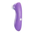 ROMANCE - OUTIL DE SUCCION CLITORIALE AVEC TECHNOLOGIE DE PULSATION VIOLET ROMANCE - OUTIL DE SUCCION CLITORIALE AVEC TECHNOLOGIE DE PULSATION VIOLET