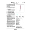 LELO - MONA TWIST VIBRATORE PER IL PUNTO G RICARICABILE E CONTROLLABILE TRAMITE APP, COLORE LAVANDA LELO - MONA TWIST VIBRATORE PER IL PUNTO G RICARICABILE E CONTROLLABILE TRAMITE APP, COLORE LAVANDA