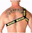 MACHO - RÖMISCHES GESCHIRR GELB S-M MACHO - RÖMISCHES GESCHIRR GELB S-M
