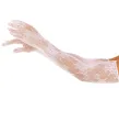 LEG AVENUE - HANDSCHUHE MIT ROTEN BLUMEN, SCHWARZ LEG AVENUE - HANDSCHUHE MIT ROTEN BLUMEN, SCHWARZ