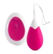 INTENSE - VIBRATEUR JAN EGG TÉLÉCOMMANDE ROSE INTENSE - VIBRATEUR JAN EGG TÉLÉCOMMANDE ROSE