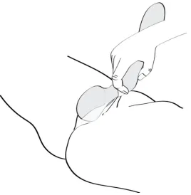 SHUNGA - MASSEUR INTIME ZOA ROSE