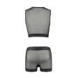 PASSION - 053 SET WILLIAM SCHWARZ S-M PASSION - 053 SET WILLIAM SCHWARZ S-M