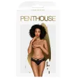 PENTHOUSE - ADORE ME PANTIES BLACK L-XL PENTHOUSE - ADORE ME PANTIES BLACK L-XL