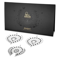 BIJOUX - INDISCRETS FLAMBOYANT NOIR and ARGENT