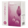 FEMINTIMATE - PELVIX CONCEPT BALLES 100 THÉRAPEUTIQUES
