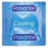 PASANTE - CLIMAX 6 HEAT EFFECT 6 COOL EFFECT - 12 EINHEITEN