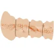 CRAZY BULL - MASTURBADOR MIT RINGEN VAGINA MODELL 2 CRAZY BULL - MASTURBADOR MIT RINGEN VAGINA MODELL 2