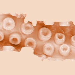 FLESHLIGHT FANTASY - VAGINA DI SASHA NAKAMOTO