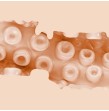 FLESHLIGHT FANTASY - SASHA NAKAMOTO VAGIN FLESHLIGHT FANTASY - SASHA NAKAMOTO VAGIN
