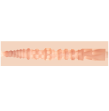 FLESHJACK - COLBY KELLER LUMBERJACK ANO MASTURBATOR FLESHJACK - COLBY KELLER LUMBERJACK ANO MASTURBATOR