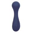 CALEXOTICS - CHARISMA TEMPTATION MASSEUR 12 FONCTIONS VIOLET CALEXOTICS - CHARISMA TEMPTATION MASSEUR 12 FONCTIONS VIOLET