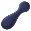 CALEXOTICS - CHARISMA TEMPTATION MASSAGER 12 FUNCTIONS PURPLE CALEXOTICS - CHARISMA TEMPTATION MASSAGER 12 FUNCTIONS PURPLE