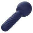 CALEXOTICS - CHARISMA SEDUCTION MASSEUR 12 FONCTIONS 17,75 CM X 6,25 CM VIOLET CALEXOTICS - CHARISMA SEDUCTION MASSEUR 12 FONCTIONS 17,75 CM X 6,25 CM VIOLET