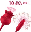 ARMONY - ROSELIP LICKING VIBRANT CLITO and VIBRATEUR ROUGE ARMONY - ROSELIP LICKING VIBRANT CLITO and VIBRATEUR ROUGE