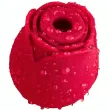 ARMONY - DELIGHT FLOWER ROTER SAUGNAPF