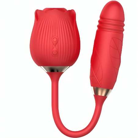 ARMONY - DELIGHT BLUME SAUGEN and STOSSEN ROT