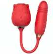 ARMONY - DELIGHT BLUME SAUGEN and STOSSEN ROT ARMONY - DELIGHT BLUME SAUGEN and STOSSEN ROT