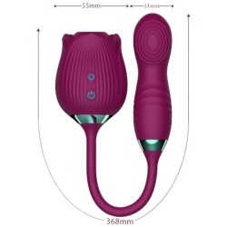 ARMONY - DELIGHT FLOWER SAUGEN and STOSSEN VIOLETT