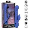 CALEXOTICS - LA LOVE VIBRATEUR and SUCCION BLEU PAR CALIFORNIA DREAMING