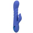 CALEXOTICS - L.A LOVE VIBRATOR and SUCTION BLUE BY CALIFORNIA DREAMING CALEXOTICS - L.A LOVE VIBRATOR and SUCTION BLUE BY CALIFORNIA DREAMING