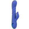 CALEXOTICS - LA LOVE VIBRATEUR and SUCCION BLEU PAR CALIFORNIA DREAMING