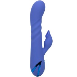 CALEXOTICS - L.A LOVE VIBRADOR and SUCCIONADOR AZUL BY CALIFORNIA DREAMING