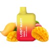LOST MARY - BM600 NICOTINE VAPER 2 DISPOSABLE TRIPLE MANGO