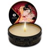 SHUNGA - MINI CARESS BY CANDLELIGHT ESPOSITORE CANDELE DA MASSAGGIO 24 UNITÀ