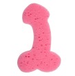 DIABLO PICANTE - SPUGNA PER PENE IN COLORE ROSA DIABLO PICANTE - SPUGNA PER PENE IN COLORE ROSA