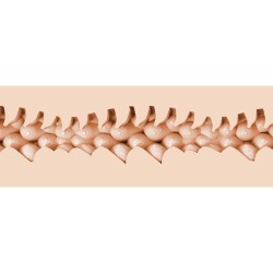 FLESHLIGHT FANTASY - EVIE AKASHIYA VAGIN