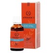 RUF - COMPLEMENTO ALIMENTICIO SEXOVITAL 20 ML RUF - COMPLEMENTO ALIMENTICIO SEXOVITAL 20 ML