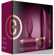 CLIMAXIMUM - DESIRE KIT TWISTED VIBRATOR ANALPLUG