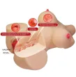 CRAZY BULL - EMMA TORSO FEMMINILE REALISTICO VAGINA E ANALE 4,8 KG