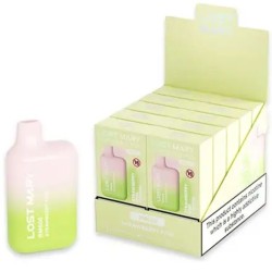 LOST MARY - BM600 NICOTINE VAPER 2 DISPOSABLE STRAWBERRY KIWI