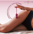 INTENSE - KIT CHARLI KEGEL BALL BOURGOGNE