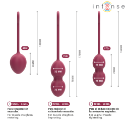 INTENSE - KIT CHARLI KEGEL BALL BOURGOGNE