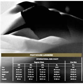 PENTHOUSE - BE MINE TEDDY BLACK XL