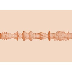 FLESHLIGHT GIRLS - MIA MALKOVA HEADSHOT BOCA