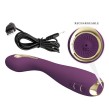 PRETTY LOVE - HECTOR VIBRATORE ELETTROSHOCK BY APP CONTROL VIOLA PRETTY LOVE - HECTOR VIBRATORE ELETTROSHOCK BY APP CONTROL VIOLA