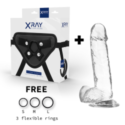 X RAY - HARNESS CLEAR COCK WITH BALLS 20 CM -O- 4.5 CM