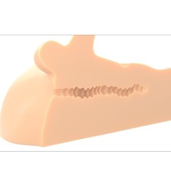 PDX PLUS - MASTURBATORE PERFETTO DEL PENE E DELLANO