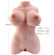 ARMONY - REALISTIC FEMALE TORSO MODEL 3 ARMONY - REALISTIC FEMALE TORSO MODEL 3