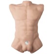 SILEXD - TORSE MASCULIN RÉALISTE APOLLO L SILEXD - TORSE MASCULIN RÉALISTE APOLLO L