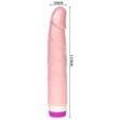 BAILE - VIBRATEUR RÉALISTE POUR DÉBUTANTS 21.5 CM BAILE - VIBRATEUR RÉALISTE POUR DÉBUTANTS 21.5 CM